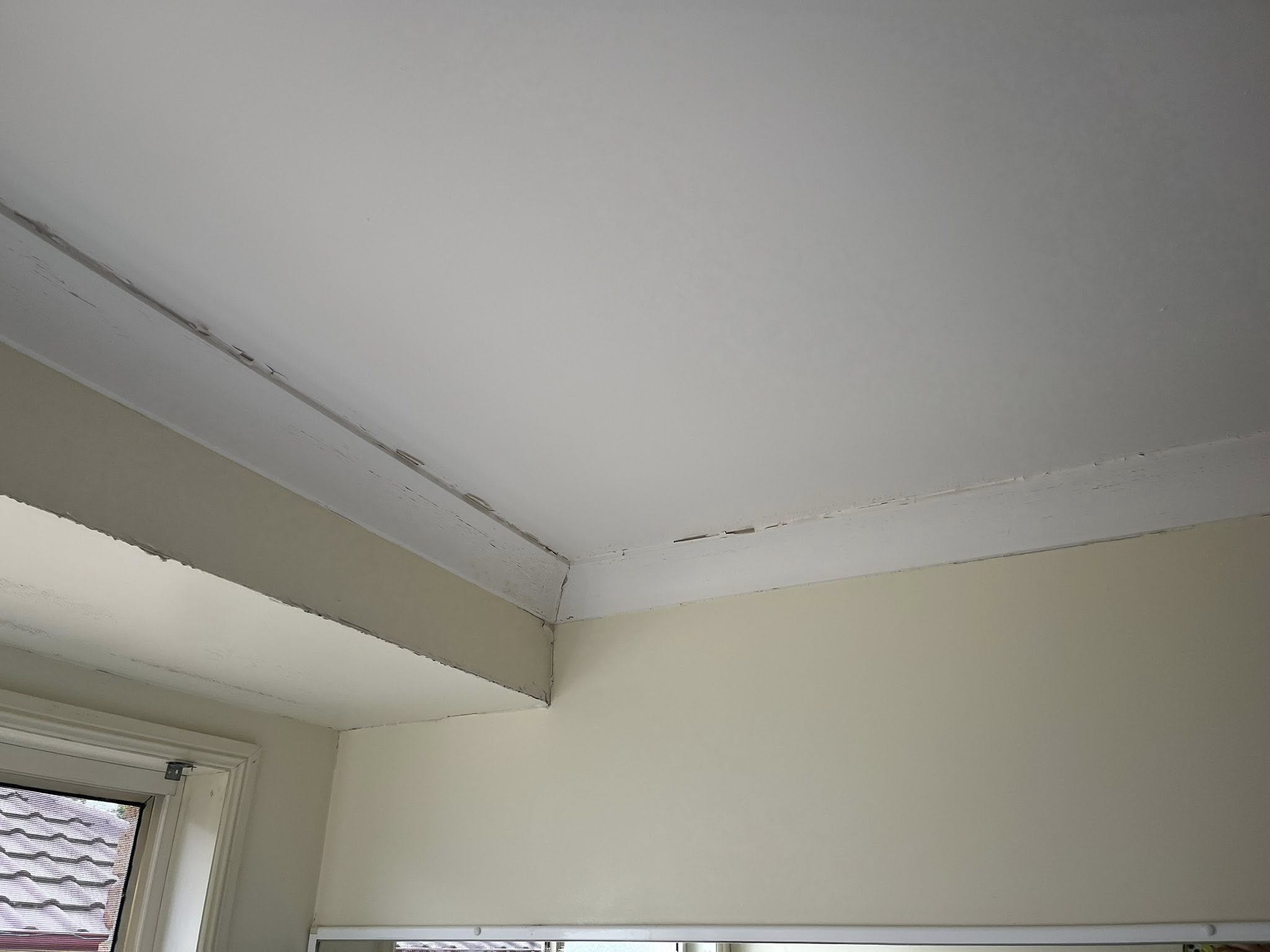 Before painting project 1